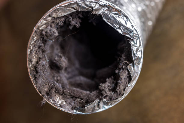 Best Best Air Duct Cleaning Company  in Griswold, IA